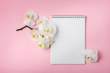 Creative workspace. A sheet of paper and orchid flowers on a pink background.