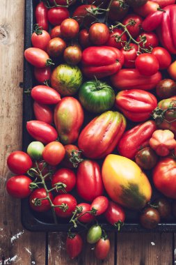 Pişirme tepsisinde ev yapımı domatesler. Renkli domates çeşitleri.