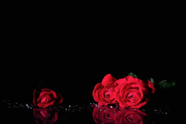 Siyah arkaplanda su damlaları olan kırmızı güller.
