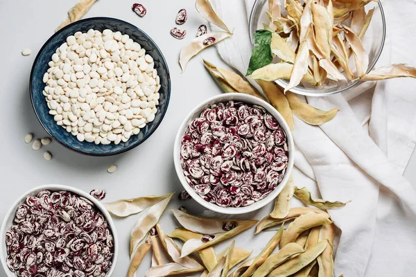 Freshly Harvested Dry White Red Beans Bowls Top View — Foto Stock