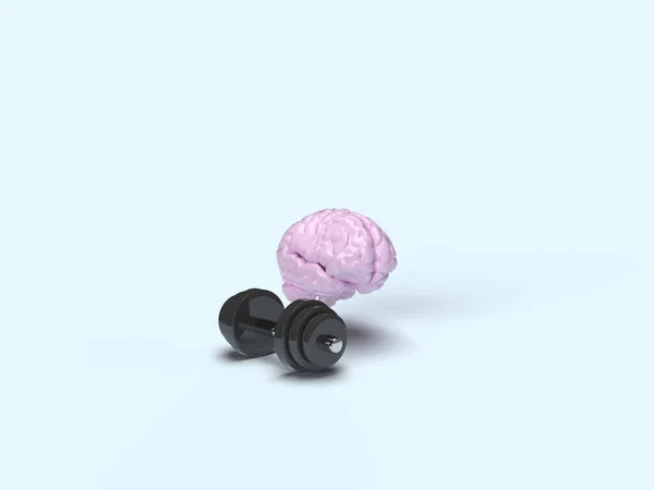 Рендеринг Розвиток Розумових Здібностей Рожевий Мозок Поруч Гантелями Відкачуй Мізки — стокове фото