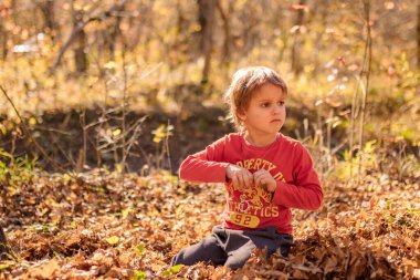 4 yaşındaki çocuk güneşli bir sonbahar gününde yaprakların arasında oturur.