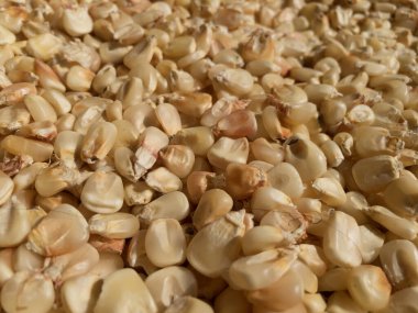 Beyaz mısır taneleri pazarda satışta