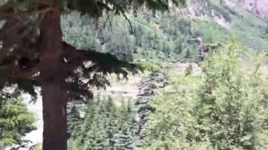 Mahod ve göle giden asfaltsız bir yol boyunca sedir ağaçları veya deodar ormanları