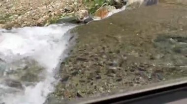 Küçük bir kristal berrak su deresi nehre akıyor.