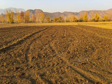 Tarlalar başka bir mahsulün ekilmesi için hazırlanıyor.