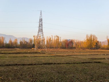 Pakistan Swat Vadisi 'ndeki tarlalar sonbahar mevsiminde