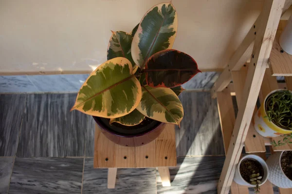 Değişik kauçuk fabrika üst görünümü