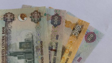 Arap Emirliği Dirham para birimi banknotları