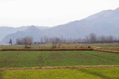 Yağmur altında bir köyün güzel manzarası