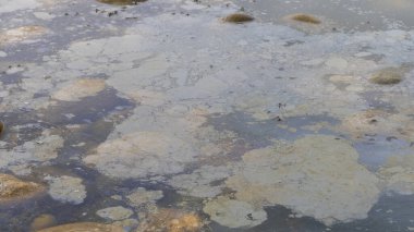 Su yüzeyi petrolle kirlenmiş.