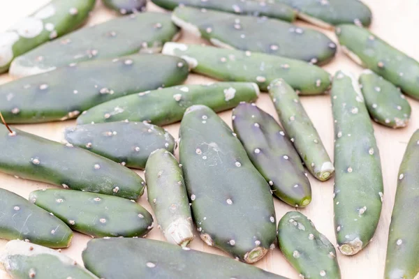 Opuntia Quimilo Cactus Pads Primer Plano —  Fotos de Stock