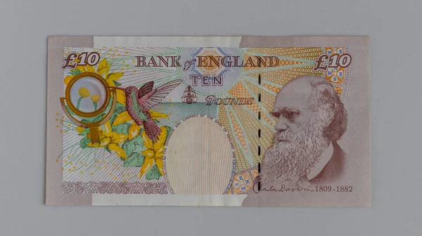 Birleşik Krallık Sterlinlik Banknotunun Ters Tarafında Charles Darwin Resmi Var — Stok fotoğraf