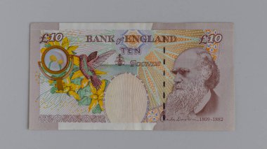 Birleşik Krallık 'ın 10 sterlinlik banknotunun ters tarafında Charles Darwin' in resmi var.