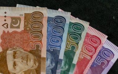 Pakistan para birimi banknotları belirlendi