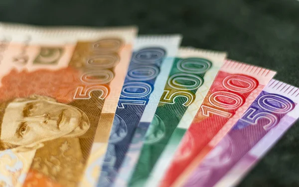 Focus Selettivo Sulle Banconote Pakistane 5000 1000 500 100 Rupie — Foto Stock