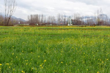Baharda Pakistan 'da bir köyün güzel manzarası