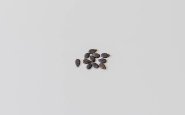 Beyaz arka planda lif ya da luffa sebze tohumları