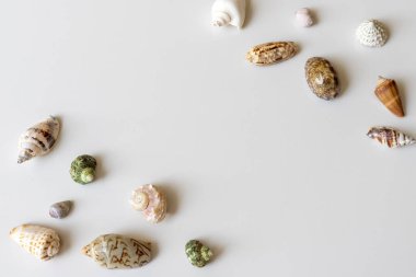 Kopya alanı olan beyaz izole bir arkaplanda deniz kabuğu koleksiyonu