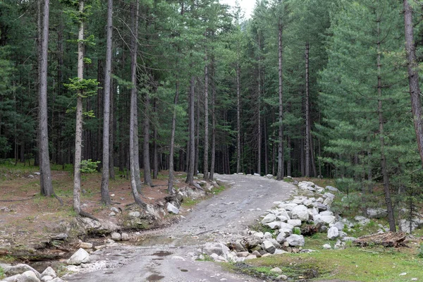 Dirt Road Kumrat Forest Upper Dir Kpk Pakistan — Stock Photo, Image