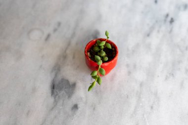 Kopya alanı olan küçük kırmızı bir tencerede yağmur damlaları dizisi