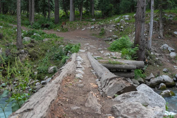 Adventurous Trekking Path Tree Log Bridge River Panjkora Kumrat Valley — Stock Photo, Image