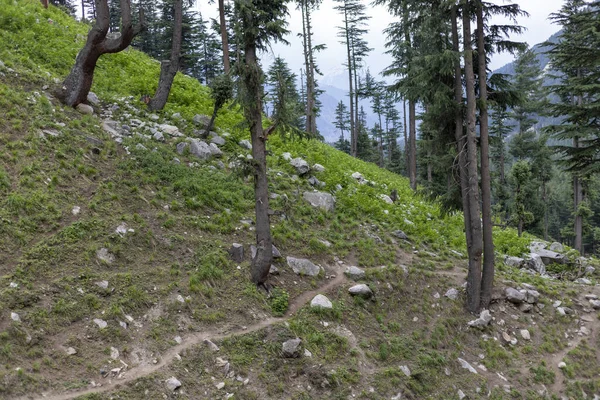 Percorso Escursionistico Nelle Montagne Della Valle Del Kumrat — Foto Stock