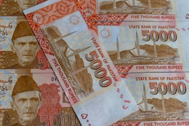 The picture of Faisal Mosque, Islamabad appears at the reverse of the 5000 banknote