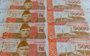 5000 rupi ön ve arka taraftaki seçici odaklı banknotlar