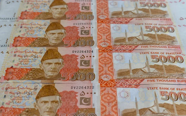 5000 Rupees Banknotes Front Side Rear Side Selective Focus — 스톡 사진