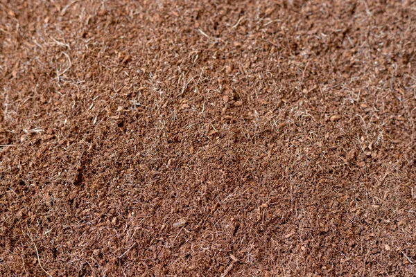 Coconut Cocopeat Husk Chips Surface Background — Φωτογραφία Αρχείου