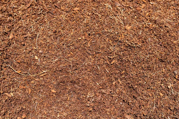 Closeup Cocopeat Coco Peat Texture Background — Stock Photo, Image