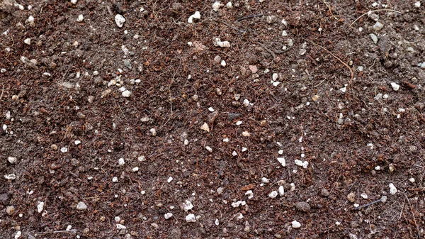 Potting Soil Mix Texture Background — Photo