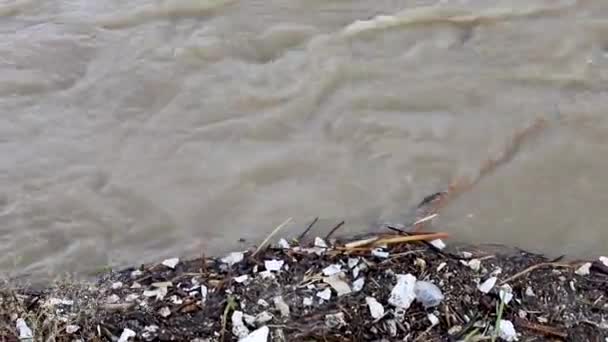 Rising Level Water River Flood — Stockvideo