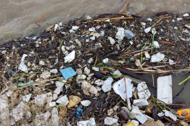 Flood debris and thrash in the river after heavy flood