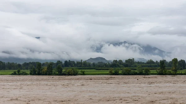 The rice crop and agriculture land are flooded with muddy water after heavy flooding in the river swat