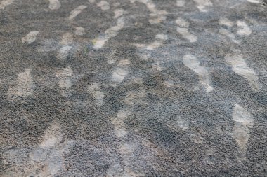 Kumda ayak izleri var.