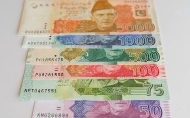 Pakistan banknot setinde 75 rupi yeni bir hatıra notu yer aldı