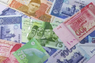 Pakistan 'da farklı para birimi banknotları arasında yeni çıkarılmış 75 rupilik bir hatıra banknot da vardı.