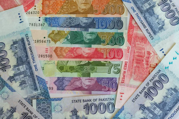 Gyönyörű Pakisztán Valuta Bankjegyek Közelkép — Stock Fotó
