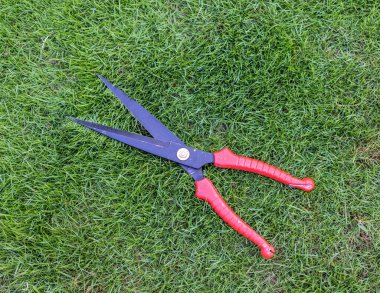 Çimleri ve çalıları biçmek için çim biçme makinesi