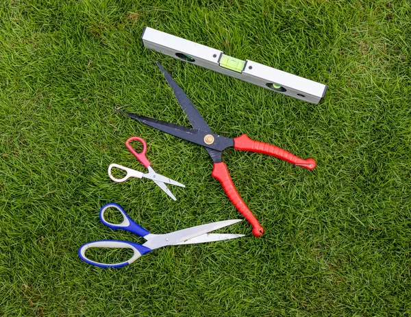 Cuttings Tools Laying Lawn — Stock Photo, Image