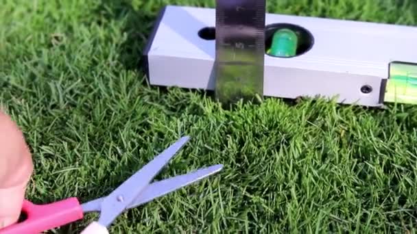 Mengukur Rumput Dengan Penggaris Dan Memotongnya Dengan Sempurna Dengan Gunting — Stok Video