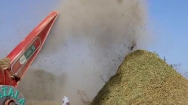 Pirinç mahsullerini tehdit etmek pirinç samanlarını ya da pipetleri uçurmak