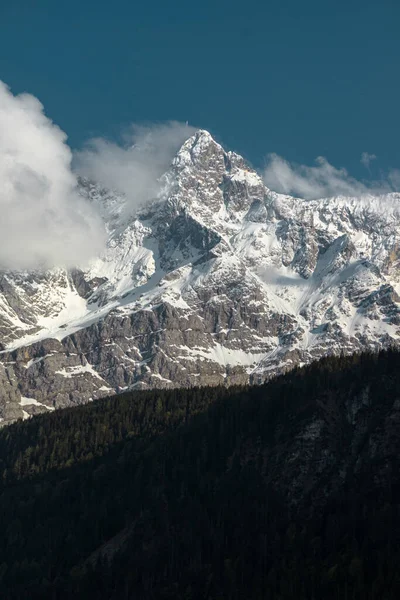 Zugspitze Dağı. Bavyera Alpleri. Almanya. Ormandan güzel dağ manzaraları görülebilir..