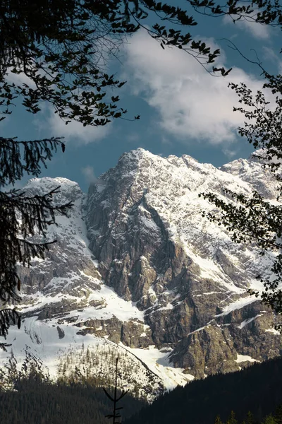 Zugspitze Dağı. Bavyera Alpleri. Almanya. Ormandan güzel dağ manzaraları görülebilir..