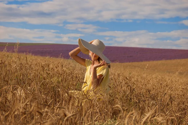 Oogst: rijpe tarwe groeit in het veld. Het gouden graan en het meisje lopen door het veld. de hete zon streelt de huid — Stockfoto