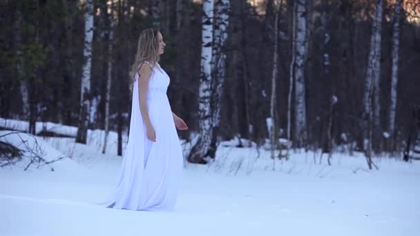 Menina em um vestido branco. Anjo. ninfa da floresta em roupas leves. Jovem rainha da neve. Modelo de moda, cara bonita. Casaco de elfo, princesa na floresta de inverno, árvores em geada, neve. — Vídeo de Stock