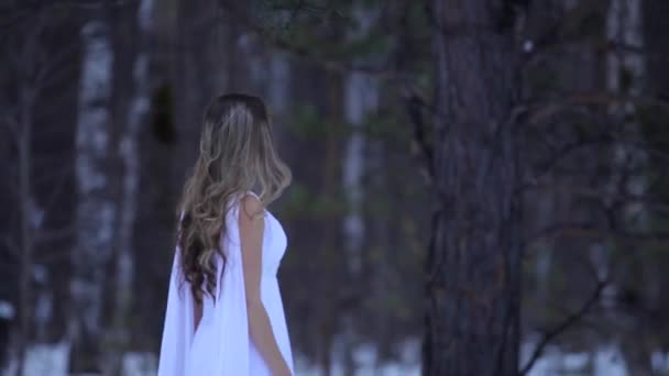 하얀 드레스를 입은 소녀. 천사. 밝은 옷을 입은 숲의 요정. 젊은 여성 스노우 퀸. 패션 모델, 아름다운 얼굴. 엘프 망토, 겨울 숲의 공주, 서리를 머금은 나무, 눈. — 비디오