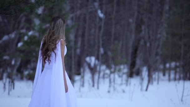 하얀 드레스를 입은 소녀. 천사. 밝은 옷을 입은 숲의 요정. 젊은 여성 스노우 퀸. 패션 모델, 아름다운 얼굴. 엘프 망토, 겨울 숲의 공주, 서리를 머금은 나무, 눈. — 비디오